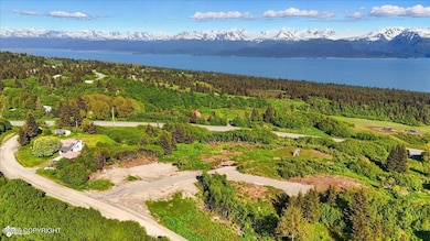 L1 Hutler Rd, Fritz Creek, AK 99603 - photo 2