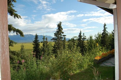 View to south