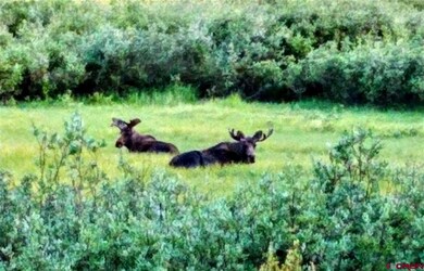 Lots 12-14 27-29 Block 27 Schofield Townsite, Crested Butte, CO 81224 - photo 2