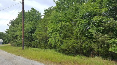 Lot 95 Lanes Ln, Pottsboro, TX 75076 - photo 2