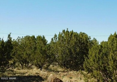 8548 Quail Run Dr Show Low, AZ 85901