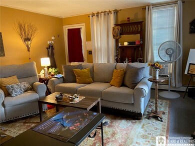 Lower apt. Living Room