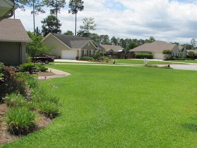 front yard 2