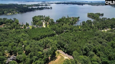 lot 2 Saint Thomas Church Rd, Chapin, SC 29036 - photo 3