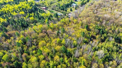 TBD B Gorton Rd, Franklin Township, MI 49930 - photo 4