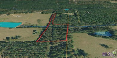 00 Whitehead Rd, Choudrant, LA 71227 - photo 4