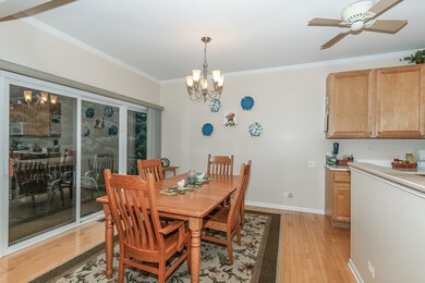 4231 Whitehall Ln, Algonquin, IL 60102 - photo 5