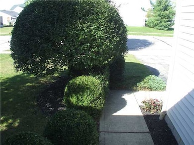 1913 Big Tree Dr, Columbus, OH 43223 - photo 2