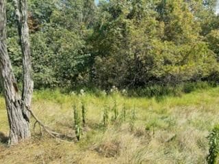 0 Eagle Ave, Wheeling, WV 26003 - photo 4