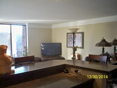 Breakfast/Serving Bar Open to Living Rm