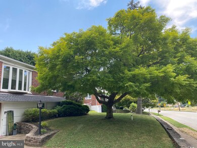 39 Cedar Grove Rd, Conshohocken, PA 19428 - photo 4