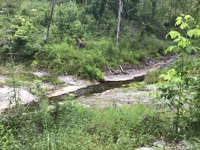 0 Hurricane Creek Rd unit 2226603, Linden, TN 37096 - photo 5