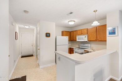 6946 Arbor Creek Dr, Louisville, KY 40228 - photo 5