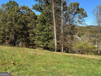 L 13/14 Anns Way, Blairsville, GA 30512 - photo 2