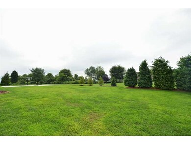 Yard/Garden. Back yard space - best lot in the nei