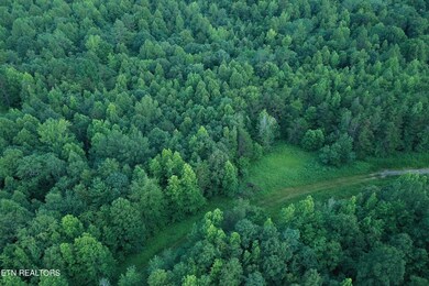 DJI_0595