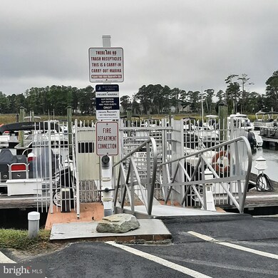 29664 Colony Dr unit F-20, Dagsboro, DE 19939 - photo 7