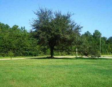 Yard. LUSH LAWN & OAK ON FRONT OF THE PROPERTY.