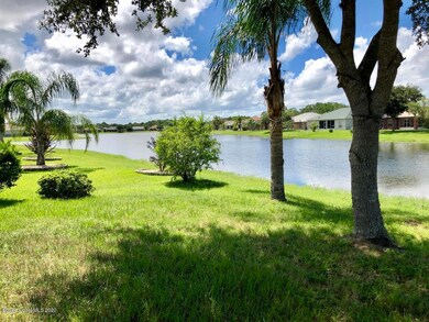 View From Back Porch