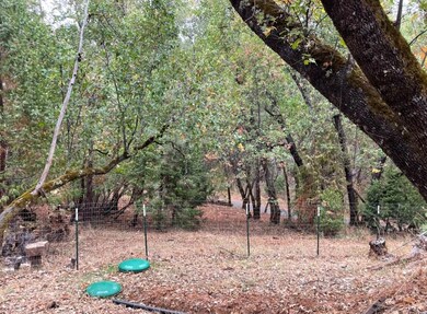 18488 Ponderosa Annex Rd, Sutter Creek, CA 95685 - photo 5