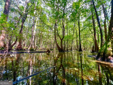 0 Abbeville Hwy, Pineview, GA 31071 - photo 3