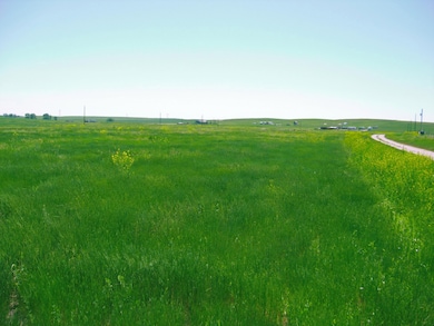 0 Gobbler Ln unit Lot 56 Gobbler Ln. R, Smithwick, SD 57782 - photo 7