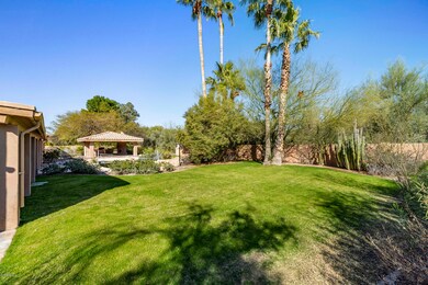 BACKYARD VIEW II