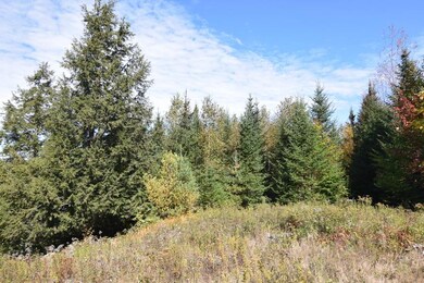 0 Steeple View Dr unit Lot 4 4779173, Bethlehem, NH 03574 - photo 4