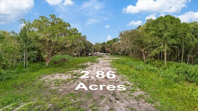 2102 Sydney Dover Rd, Dover, FL 33527 - photo 3