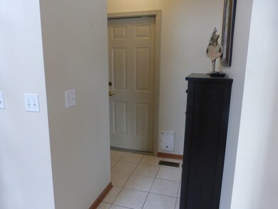 4848 Fesseneva Ln, Naperville, IL 60564 - photo 6