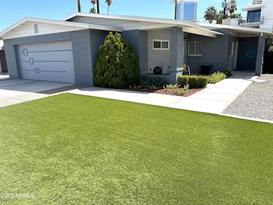 Low Maintenance Green