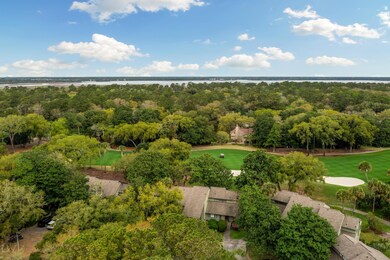 1377 Dunlin Court Drone-1