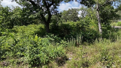 lots walnut v 7-6-25