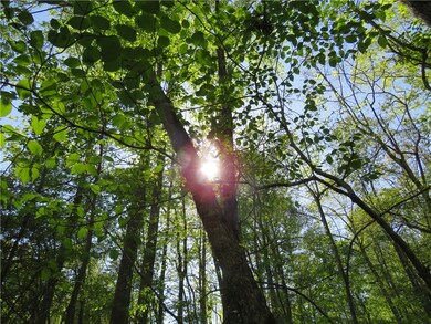 Lot 13 Ledbetter Ln, Walhalla, SC 29691 - photo 2