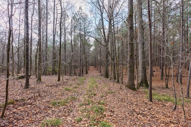 0 Double Bridges Rd unit Madison GA 30650, Rutledge, GA 30663 - photo 6