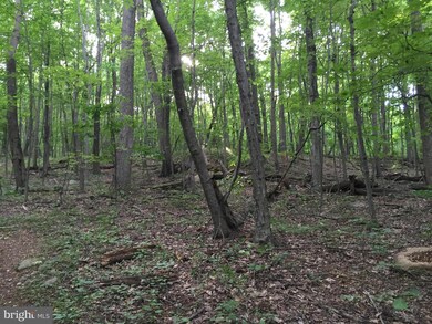 0 Mountain Rd unit 1000714757, Purcellville, VA 20132 - photo 5