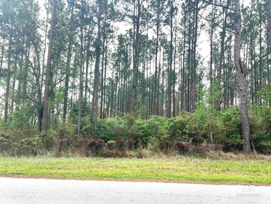 0 Bermuda Ln unit 4 372651, Seminole, AL 36574 - photo 4