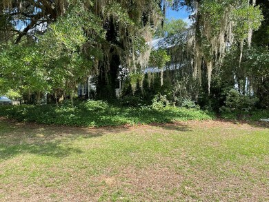 View behind Oaks