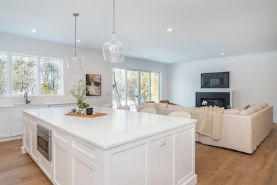 59 Shady Hill Rd, Weston, MA 02493 - photo 7