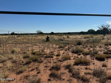 4475 Indian Bend Rd unit 213, Snowflake, AZ 85937 - photo 2