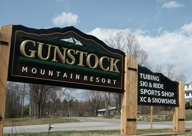 5 Buckboard Dr, Gilford, NH 03249 - photo 7