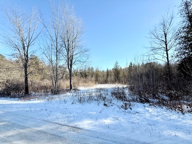 0 Hank Wilson Rd, Cadyville, NY 12918 - photo 3