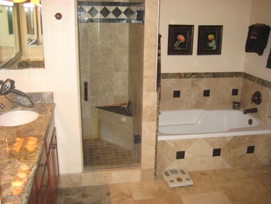 Downstairs master bath