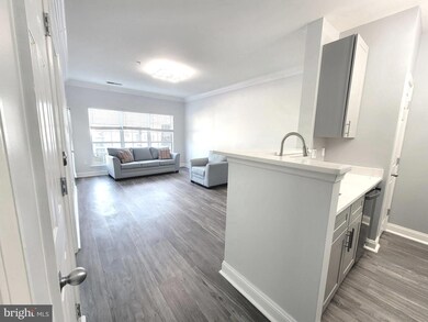 4850 Eisenhower Ave unit 418, Alexandria, VA 22304 - photo 4