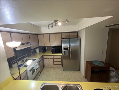 1 Cypress Run unit 11C, Homosassa, FL 34446 - photo 4