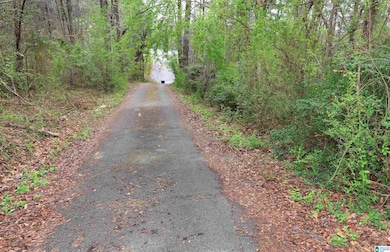 5731 Glade Cir, Anniston, AL 36206 - photo 7