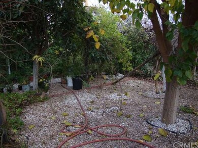 Lots of Fruit Trees and Plants