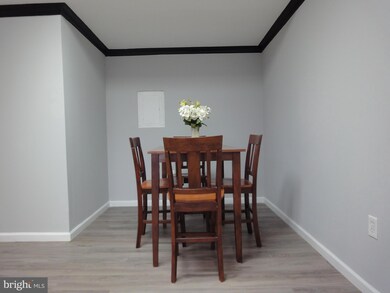 28 Allegheny Ave unit 1307, Towson, MD 21204 - photo 6