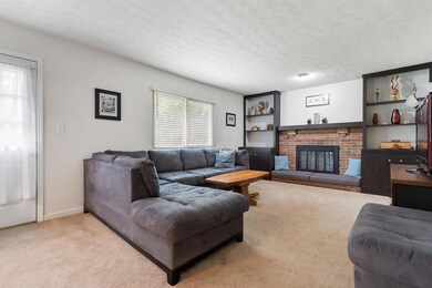 2633 Blue Spruce-5-SMALL