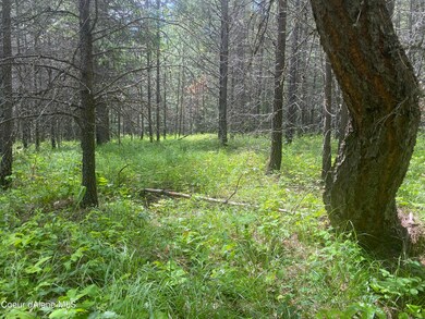 NNA Red Fir Rd, Athol, ID 83801 - photo 7